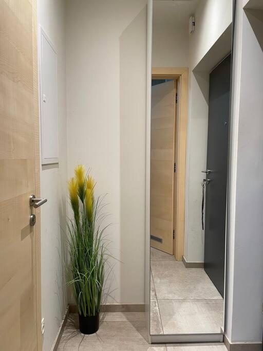 Gartenwohnung Mit Terrasse Und Parkplatz Graz Luaran gambar